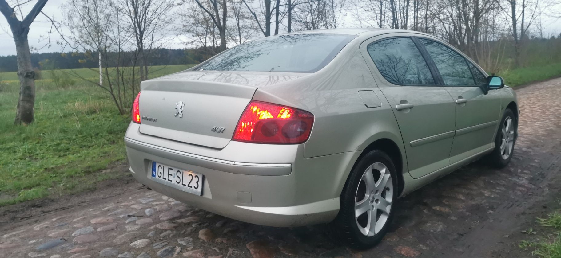 Peugeot 407 1.6 hdi