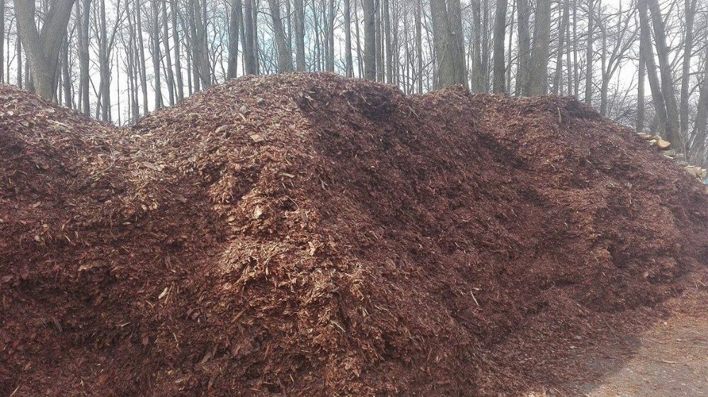 Kora drobna i ozdobna – hurtowe ilości, różne frakcje od producenta