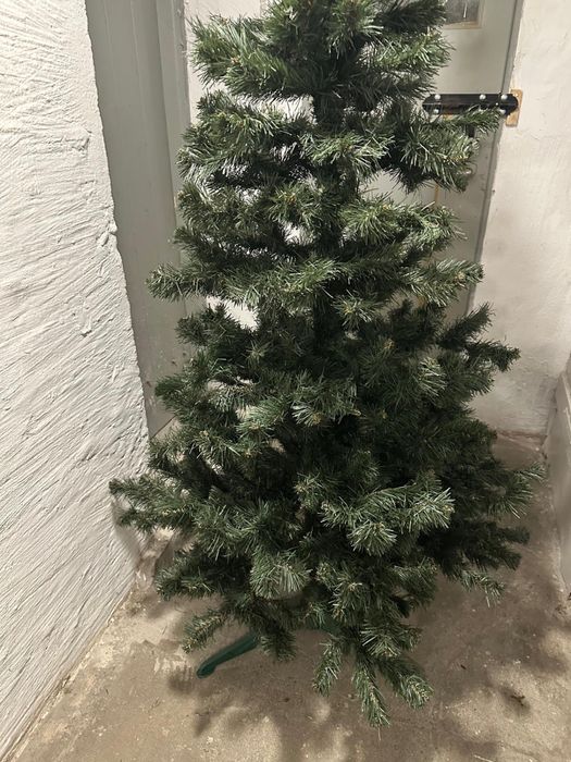 Choinka 2 m wysokości