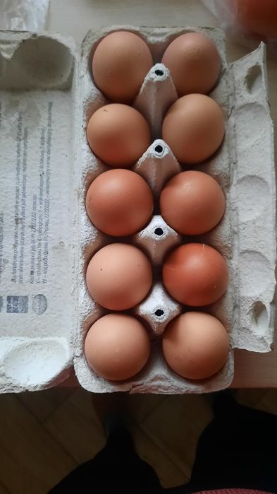 Jajka wiejskie..