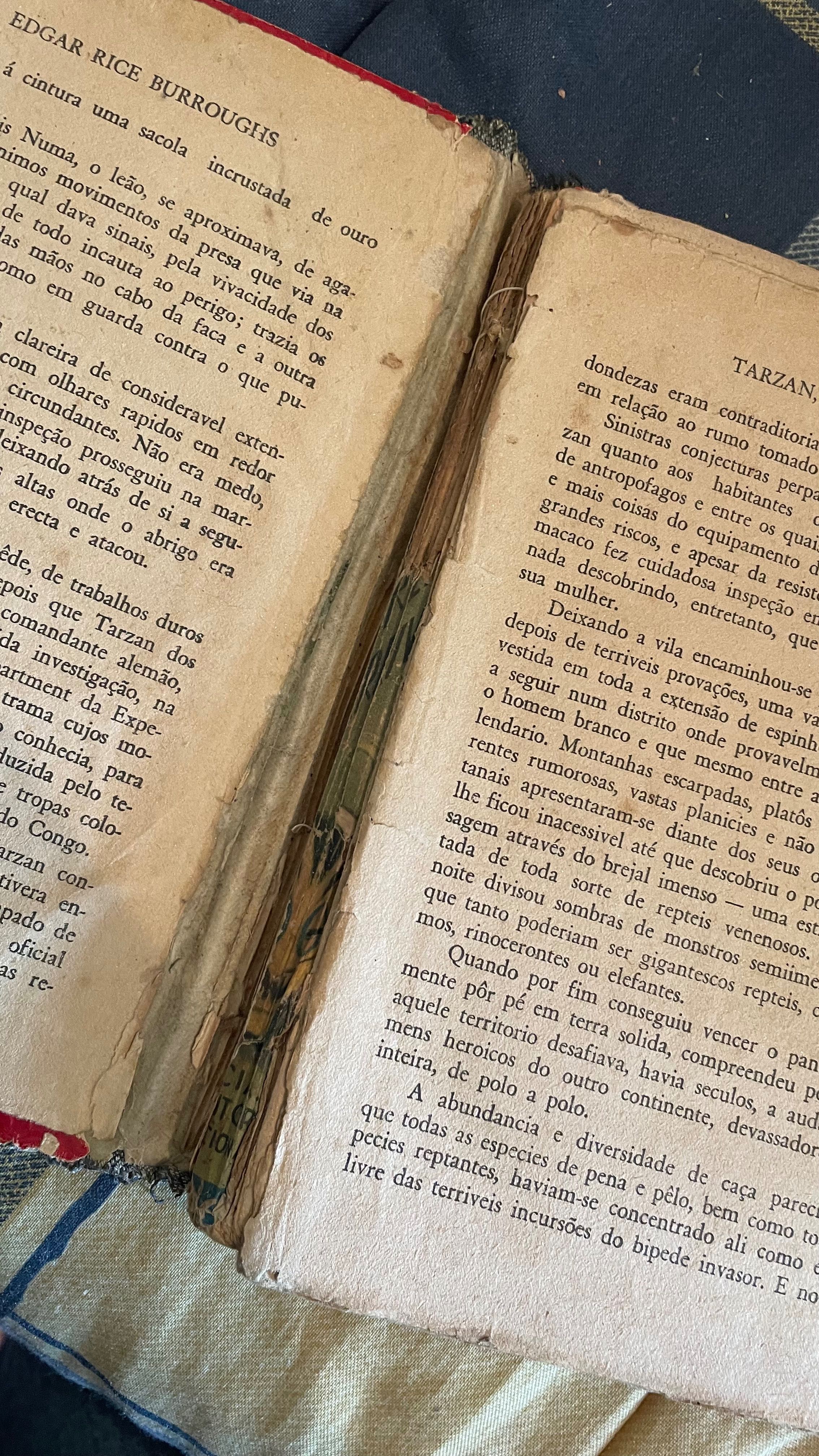 Livro Tarzan, O Terrível