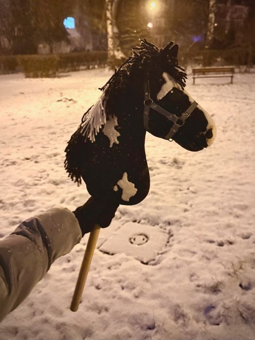 Hobby horse A4  łaciaty