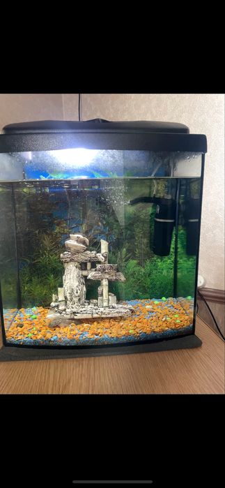 Акваріум для рибок