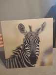 Obraz do dziecinnego pokoju- ZEBRA 3 D