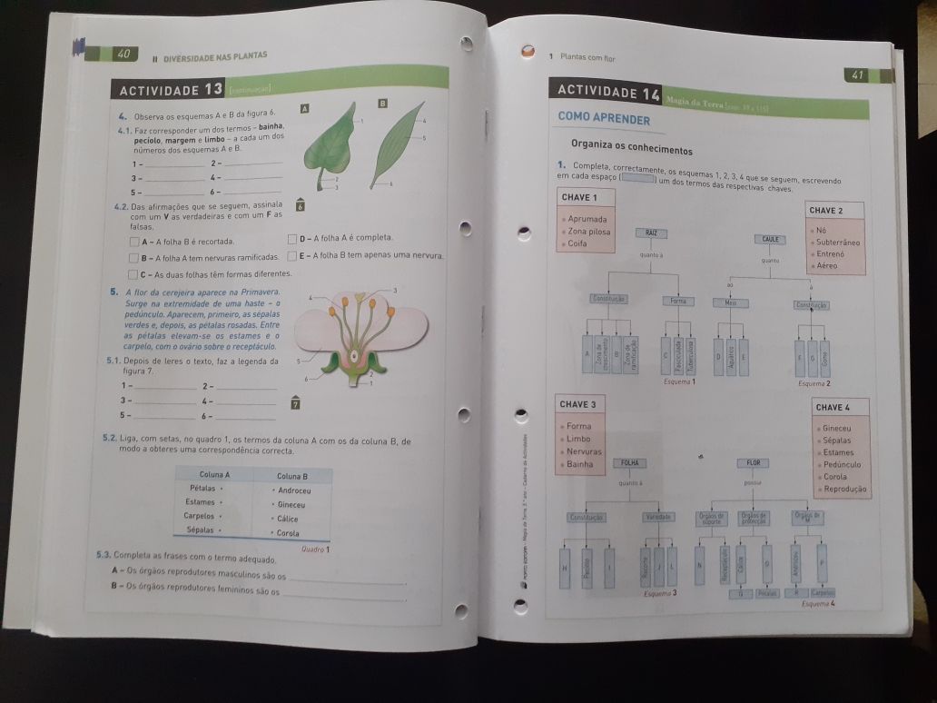 Manual e caderno de atividades Magia da Terra - Ciências 5º ano