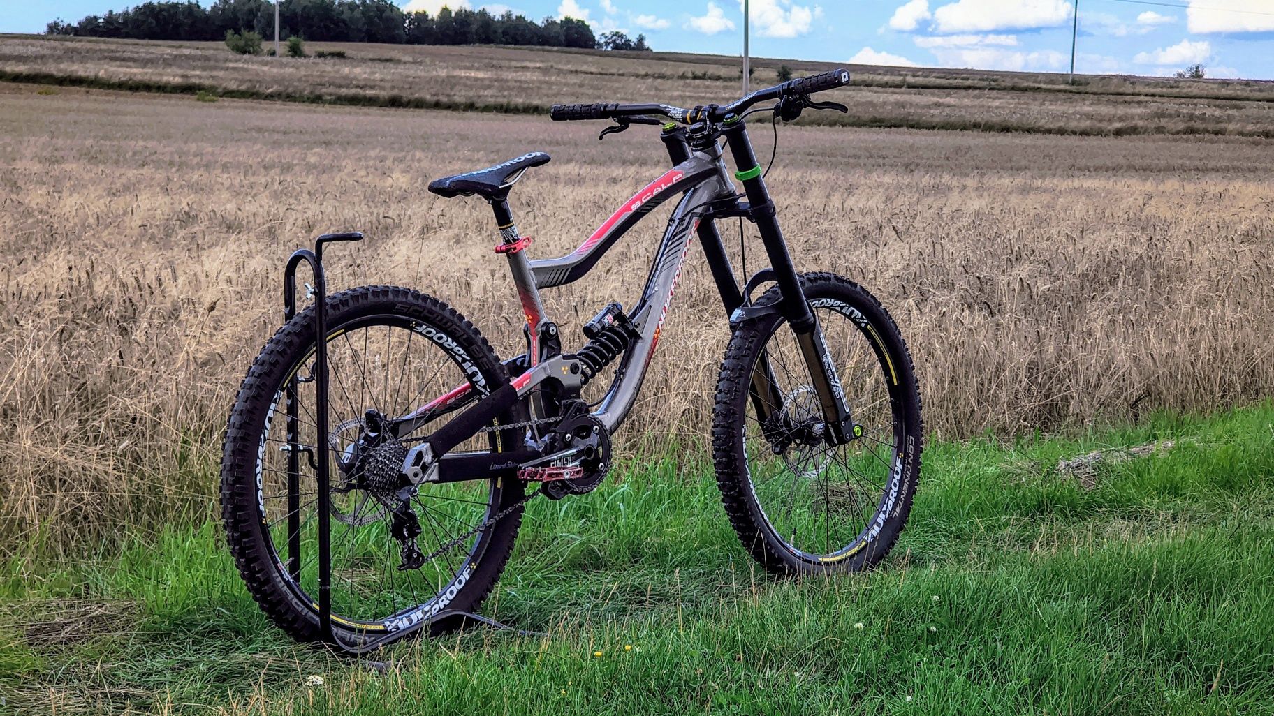 Nukeproof Scalp 2014 L