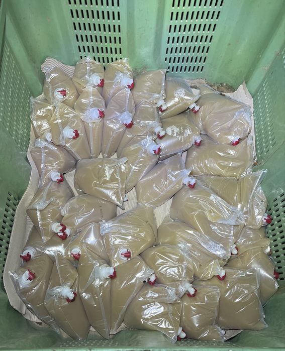 Sok tłoczony z jabłek 5l 3l