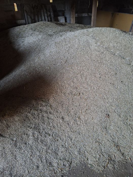 Sprzedam żyto 550zl