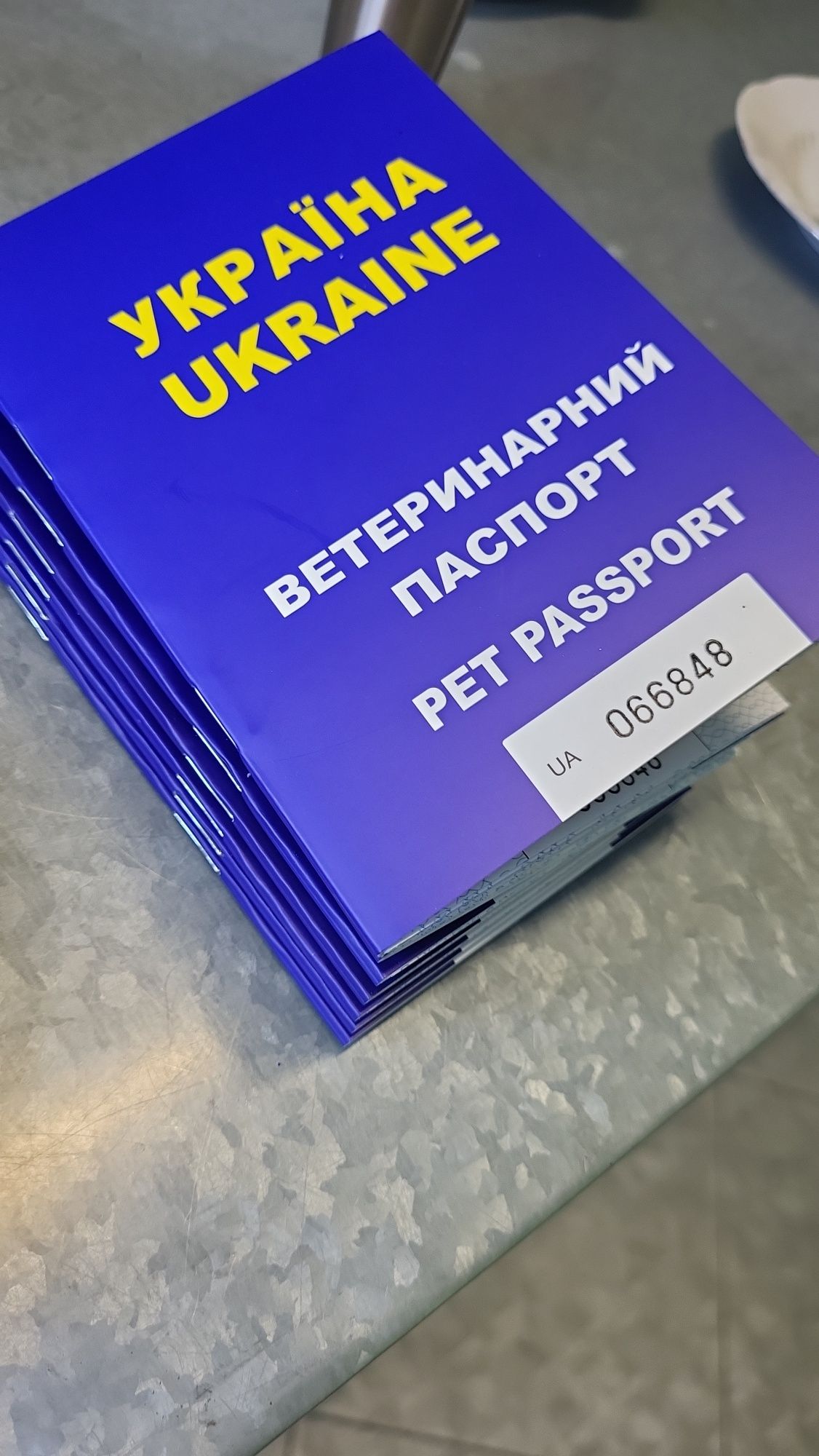 Перевозка животных по Украине и Европе