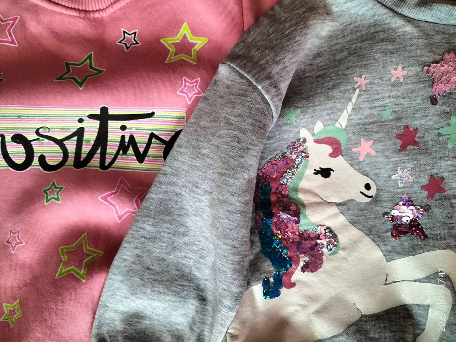 лот теплих речей для дівчинки на 3 роки світшот, светр ціна за все