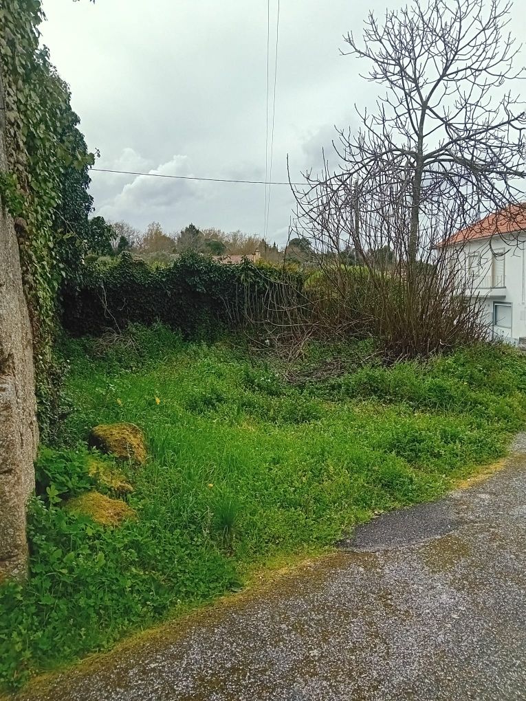 Moradia em ruínas para reconstrução