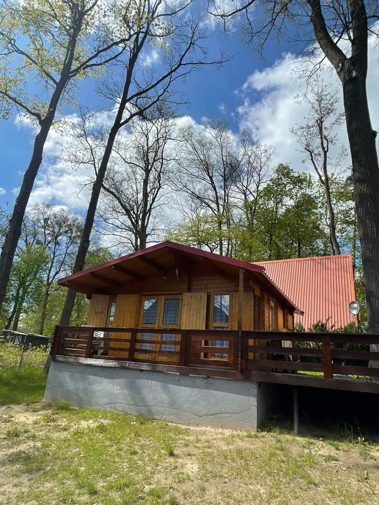 Domki letniskowe Lubasz koło Czarnkowa nad jeziorem przy Lesie i plaży
