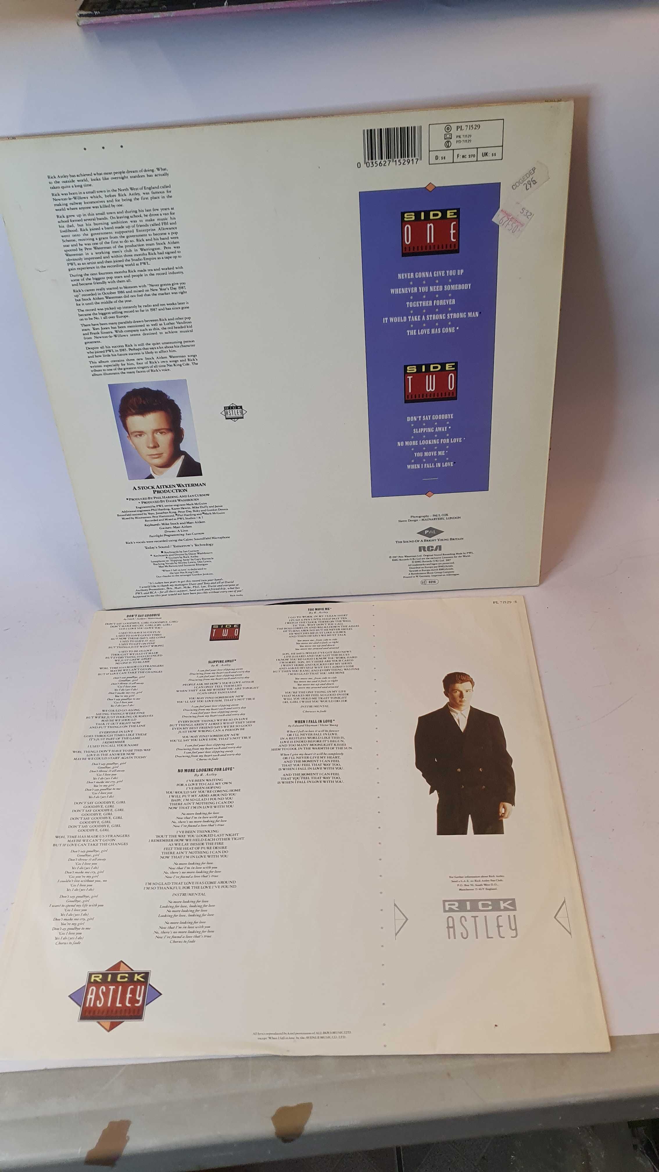 EX/NM Whenever You Need Somebody RICK ASTLEY Winyl [256]