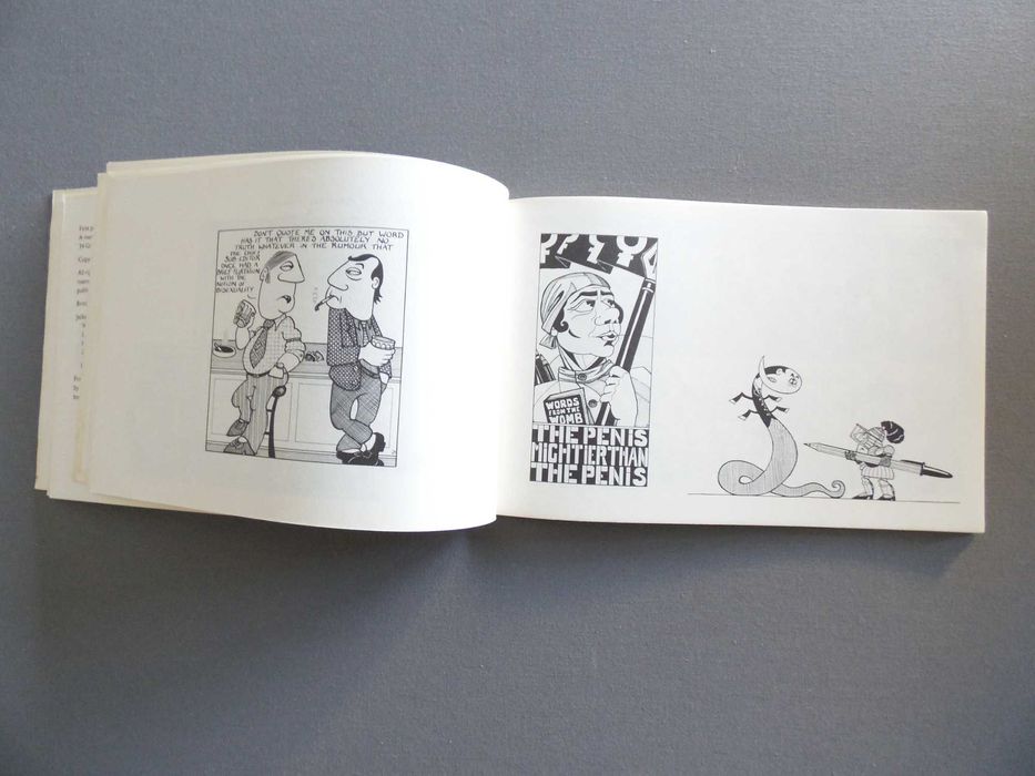 Livro BD Visibly Vera
