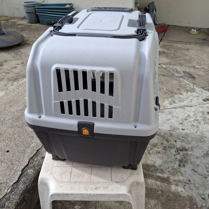 Transportadora - aprovada avião