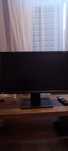 Monitor LED Benq XL2411 24 " 1920 x 1080