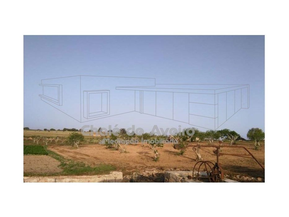 Herdade em Portalegre Com 200 Oliveiras (Nisa)