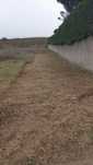 Limpeza de terreno e garagem