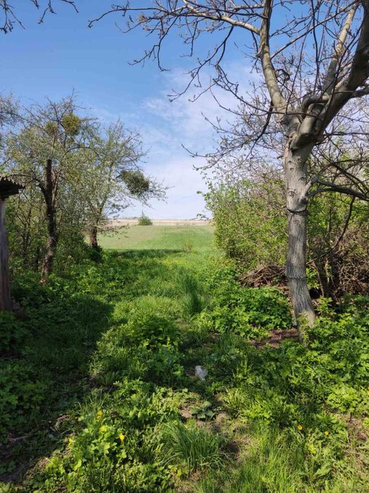 Продаж будинку село Ромашки. Білоцерківський район.