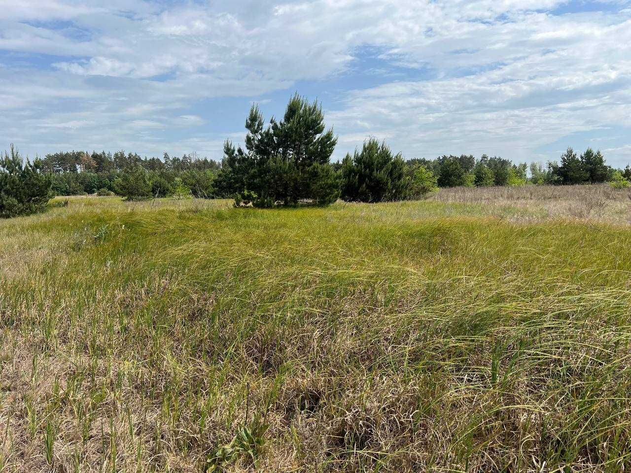 Продаж ділянки 9,5 соток (ОСГ) зі зручним виїздом на трасу. ID:391