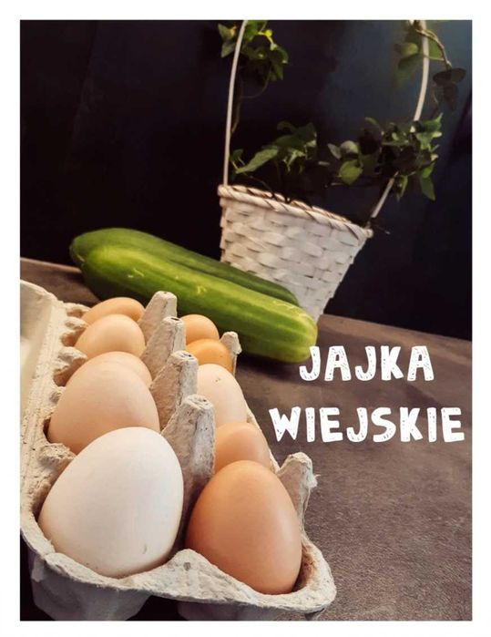 jajka wiejskie jaja