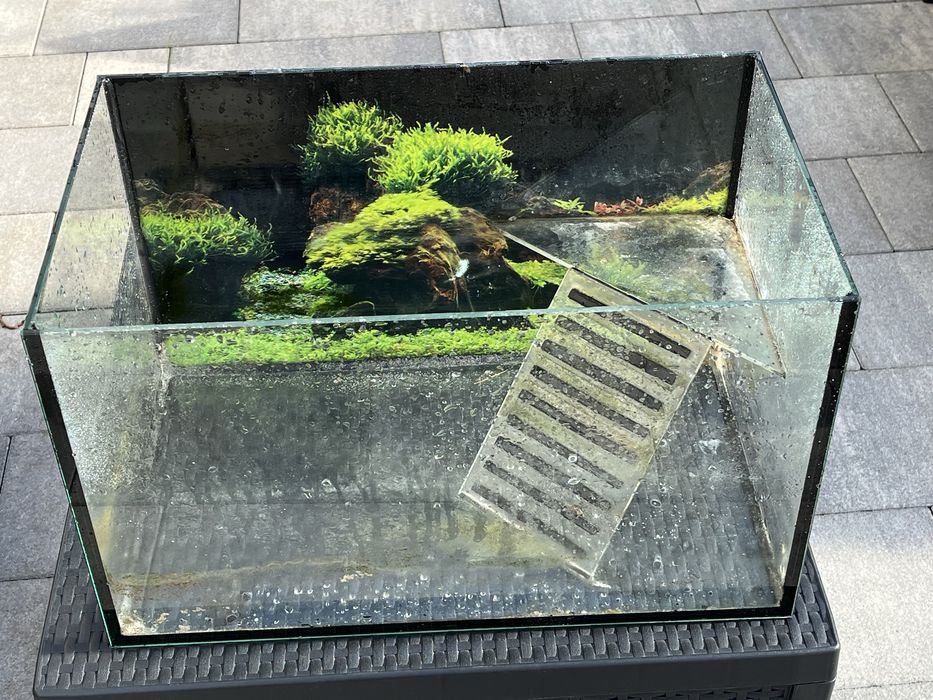 Terrarium dla żółwia.