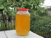 Оцет яблучний свіжий на меду екстра якість