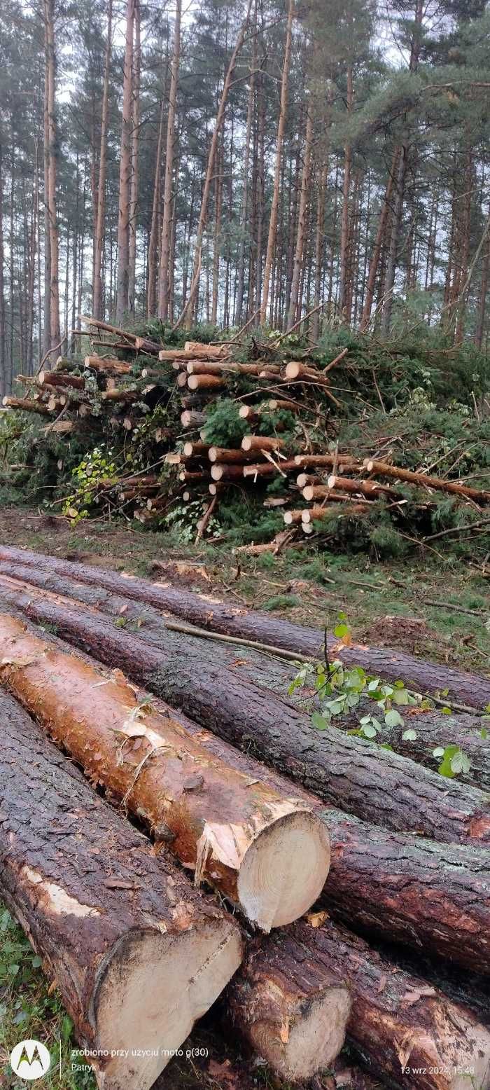 Ścinka drzew Mulczowanie Czyszczenie działek