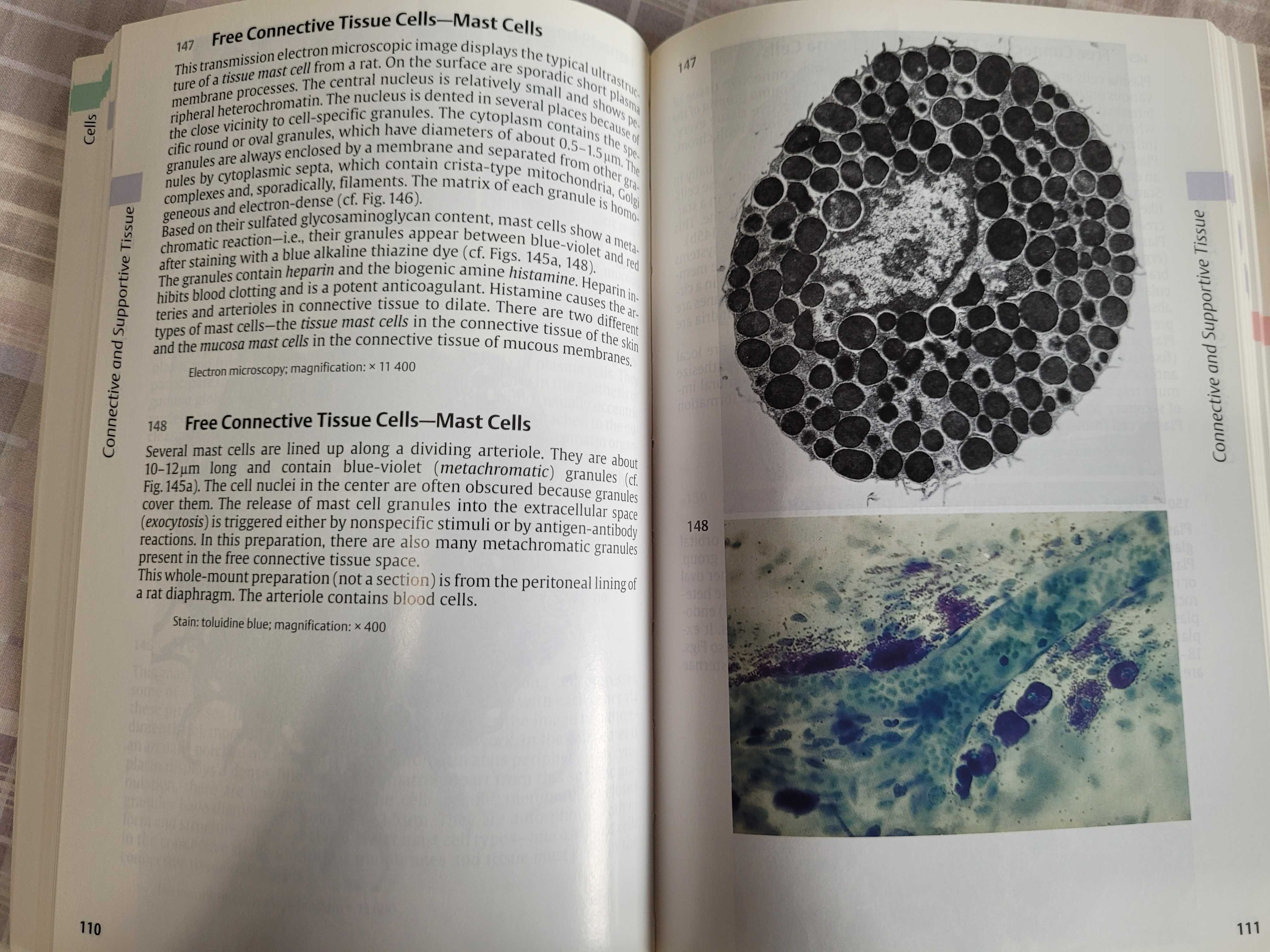 Medicina "Color Atlas of Citology, Histology and ..." da Thieme