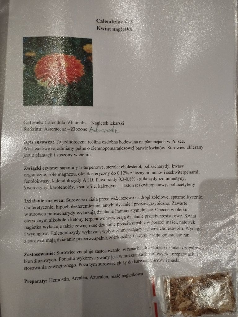 Sprzedam zielnik roślin