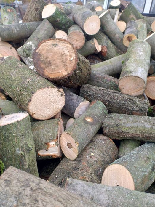 TANIE Drewno Opałowe i Kominkowe