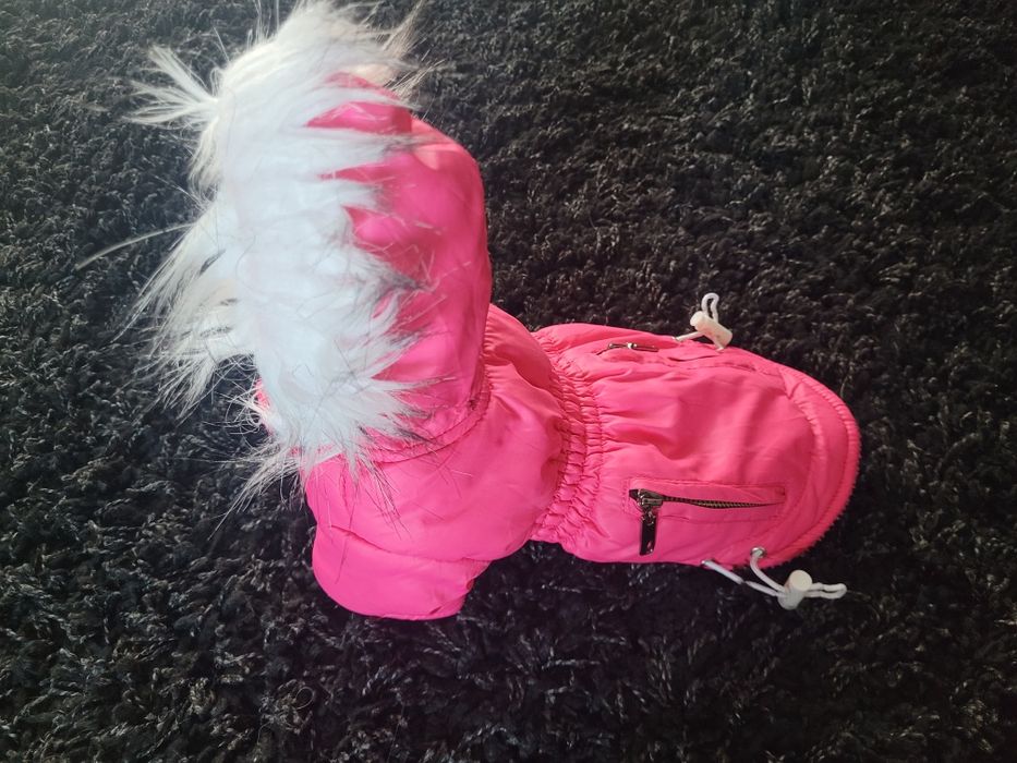 Kurtka dla małego psa