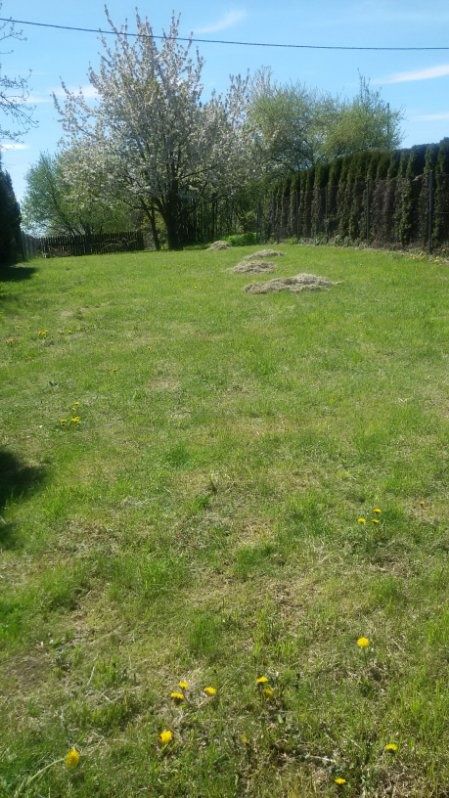 Sprzedam mieszkanie 49 m2 w Przewornie