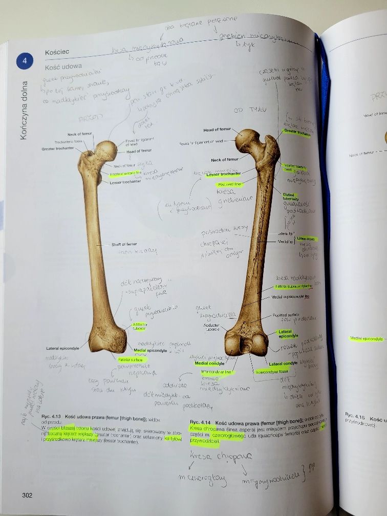 KOMPLET Atlasów Anatomii Człowieka SOBOTTA