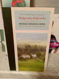 Widok z mojego okna , Małgorzata Kalicińska.