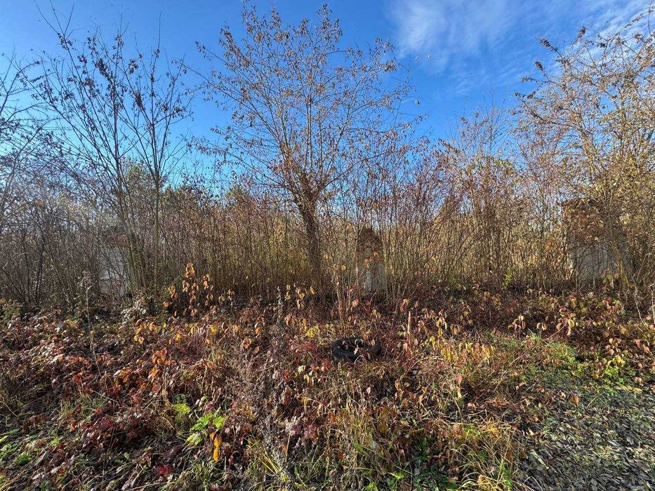 Продається  ділянка в с.Жорниська біля с.Домажир, 95 сот, промзона