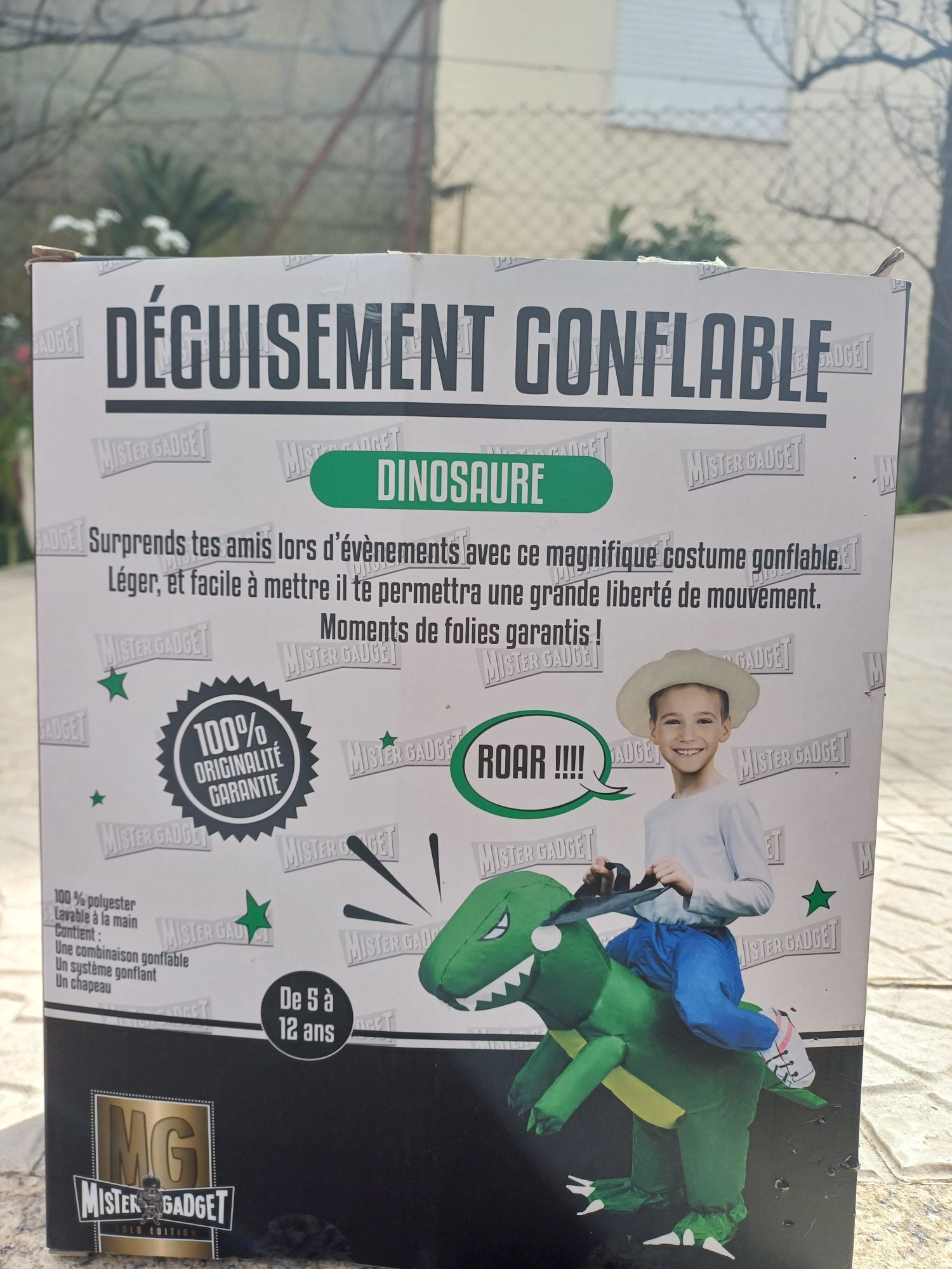 Disfarce Carnaval dinossauro