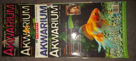 Akwarium magazyn