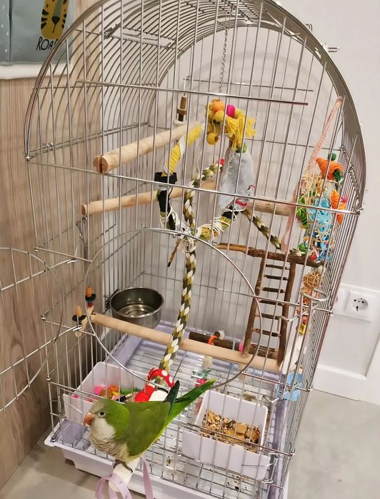 Клетка НОВАЯ 50х50х100 см