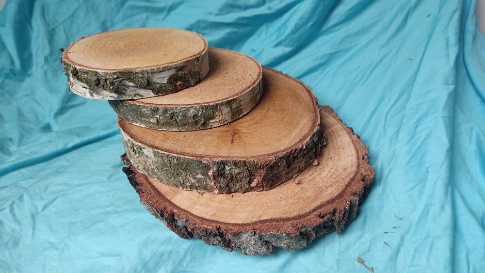 Sprzedam dekoracyjne plastry brzozy