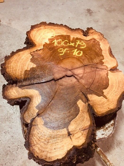 Suche foszty orzech włoski / Plastry / Żywica / Monolity /Tarcia/Deski