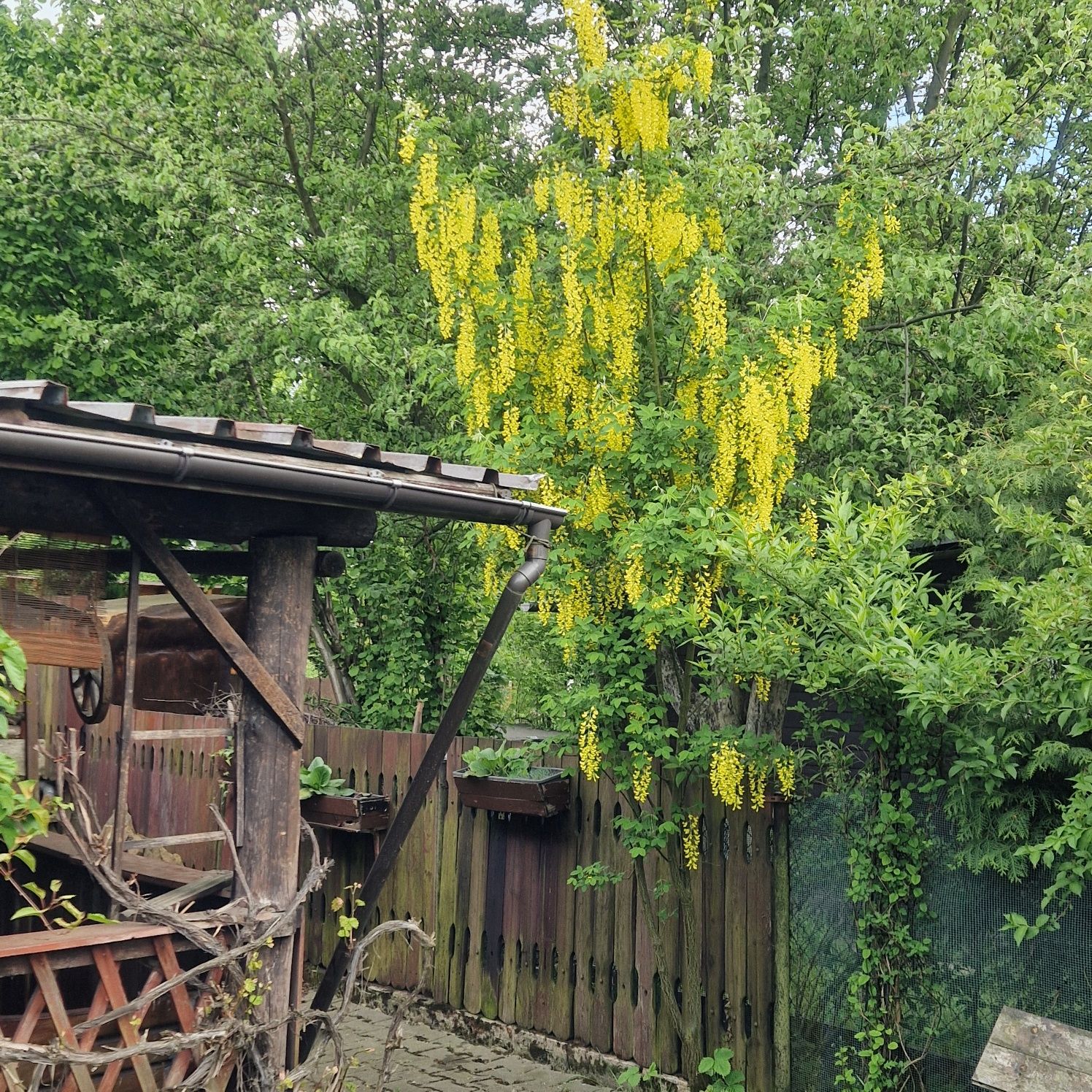 Działka rekreacyjna Sosnowiec Klimontów