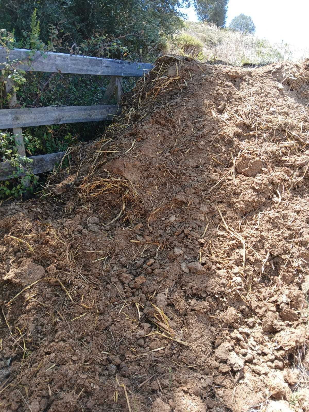 Estrume de Cavalo Curtido
