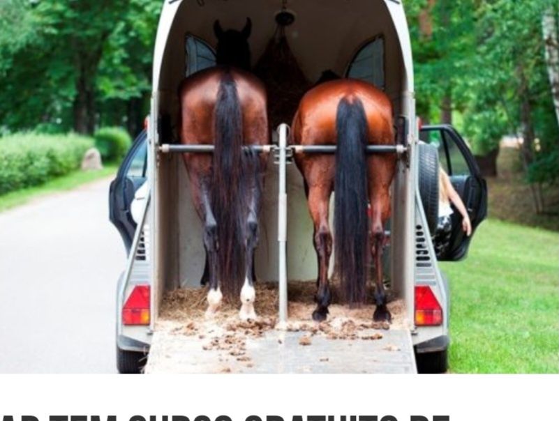 Transporte de cavalos e animais de quinta  Portugal e Europa