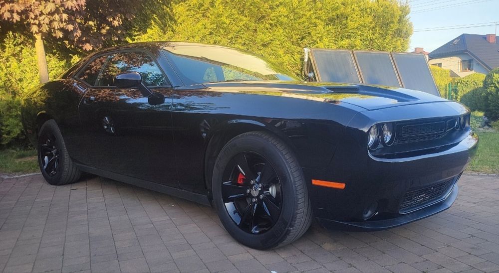 Dodge Challenger 3.6 SXT Duża Navi Sport wydech. 310PS Możliwa Zamiana