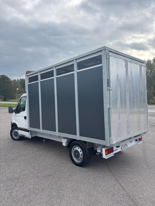Renault master do przewozu zwierząt bydła