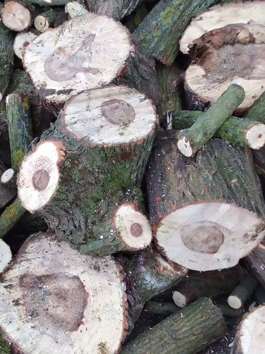 Дрова мікс по 1777 грн 1 куб Комарно