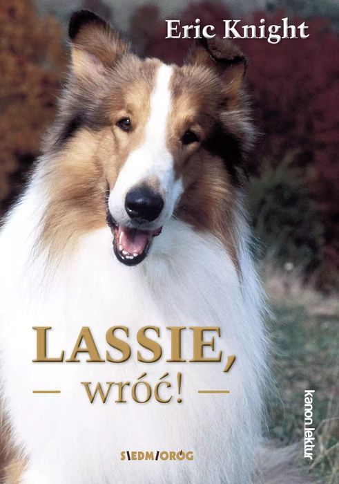 Lassie, wróć!. Siedmioróg