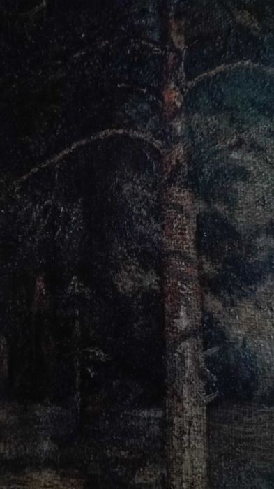 Художник К.Туцевич Пейзаж с деревьями РИ н.ХХвека