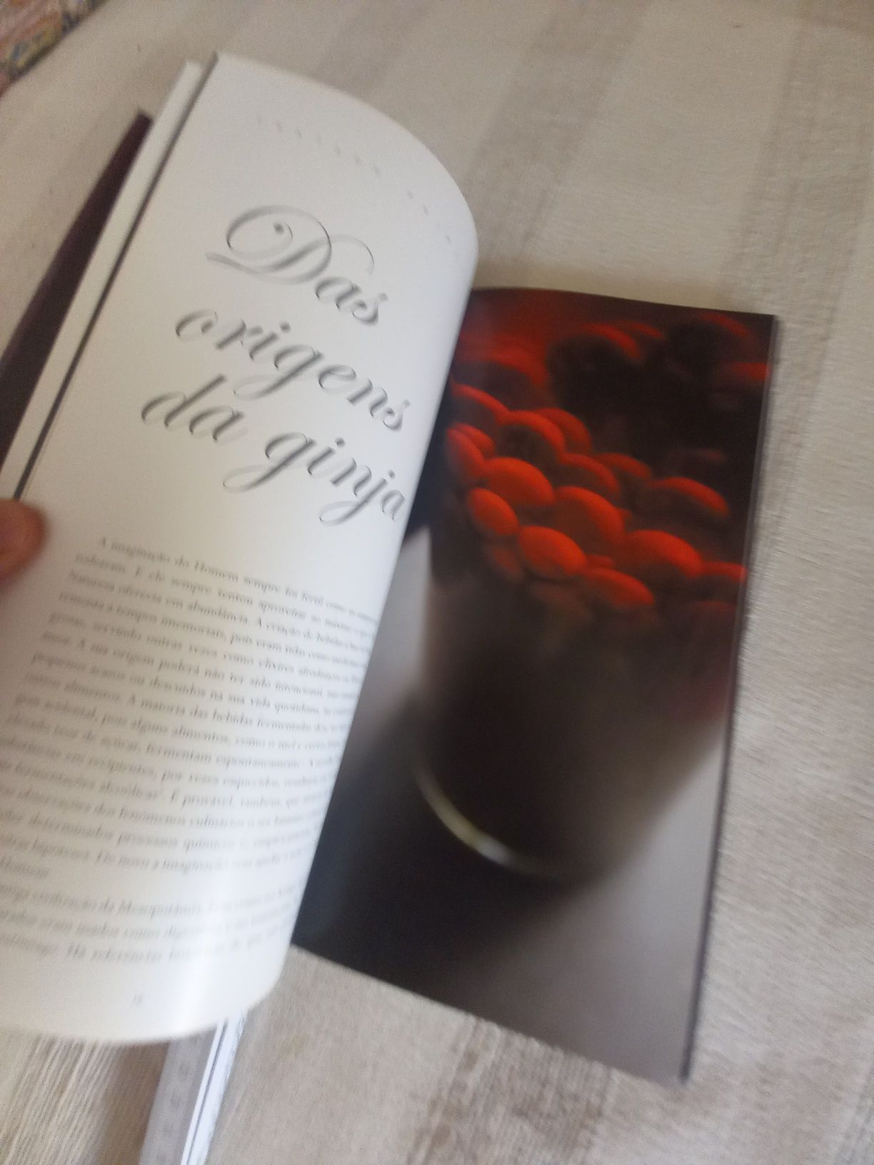 O Elogio da Ginja os licores de Ginja região Oeste